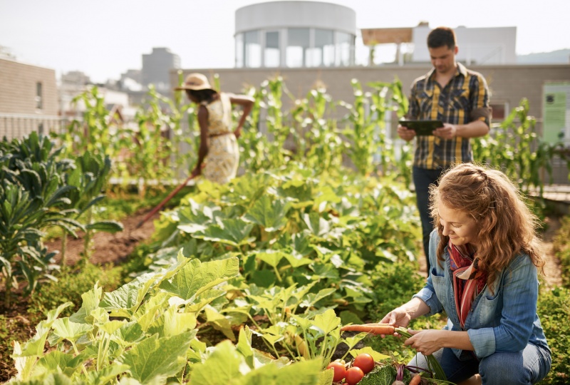 Faire des rooftops un lieu de vie à part entière